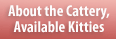 About the Cattery